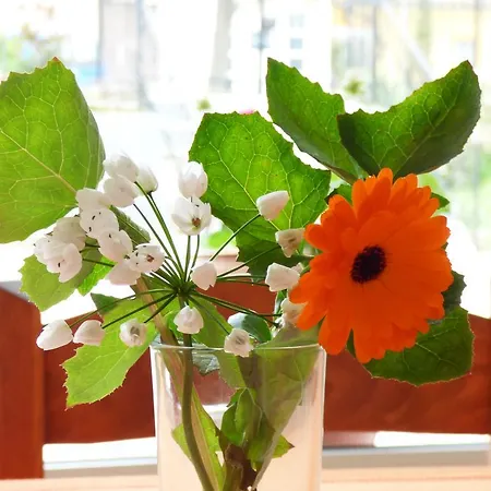 Отель Triada 2*