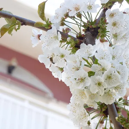 Triada 2* Лименария