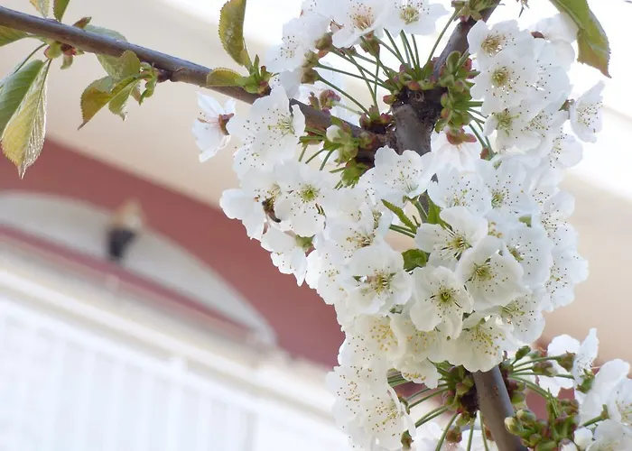 Triada 2* يميناريا